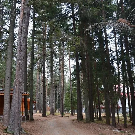 пенчеви, кк. чарк Prázdninový dům *