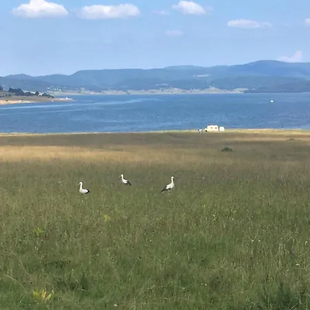 пенчеви, кк. чарк Nyaraló
