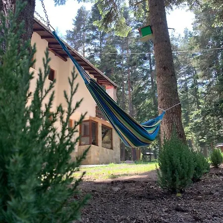 пенчеви, кк. чарк Prázdninový dům *