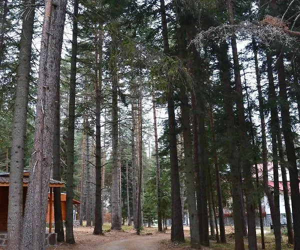 пенчеви, кк. чарк Semesterbostad *