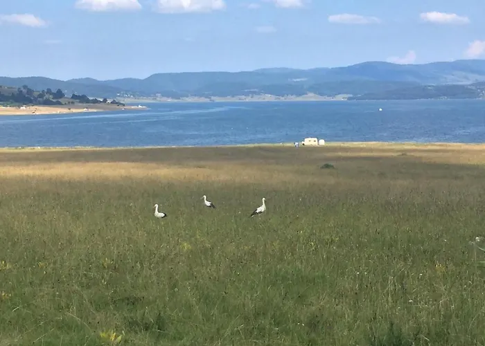 пенчеви, кк. чарк Semesterbostad